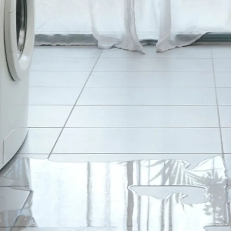 Appliance Leak Cleanup in Wellfleet, MA