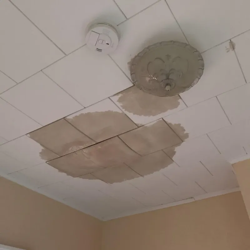 Ceiling Water Damage Repair in Wellfleet, MA