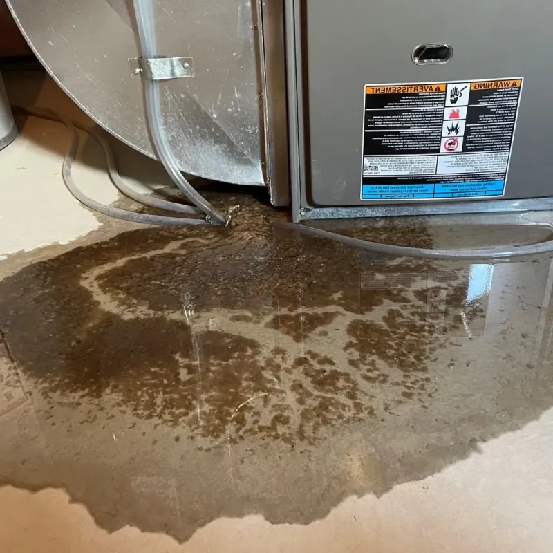 Pipe Burst and Leak Restoration in Wellfleet, MA