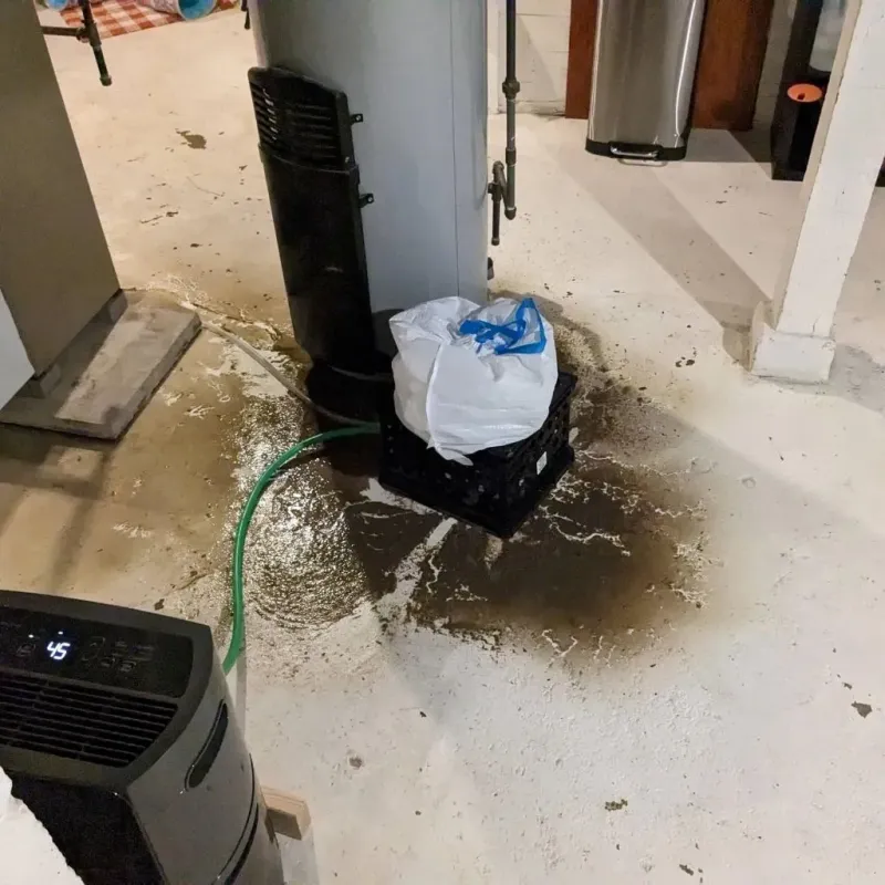 Sewage Backup Cleanup Service in Wellfleet, MA